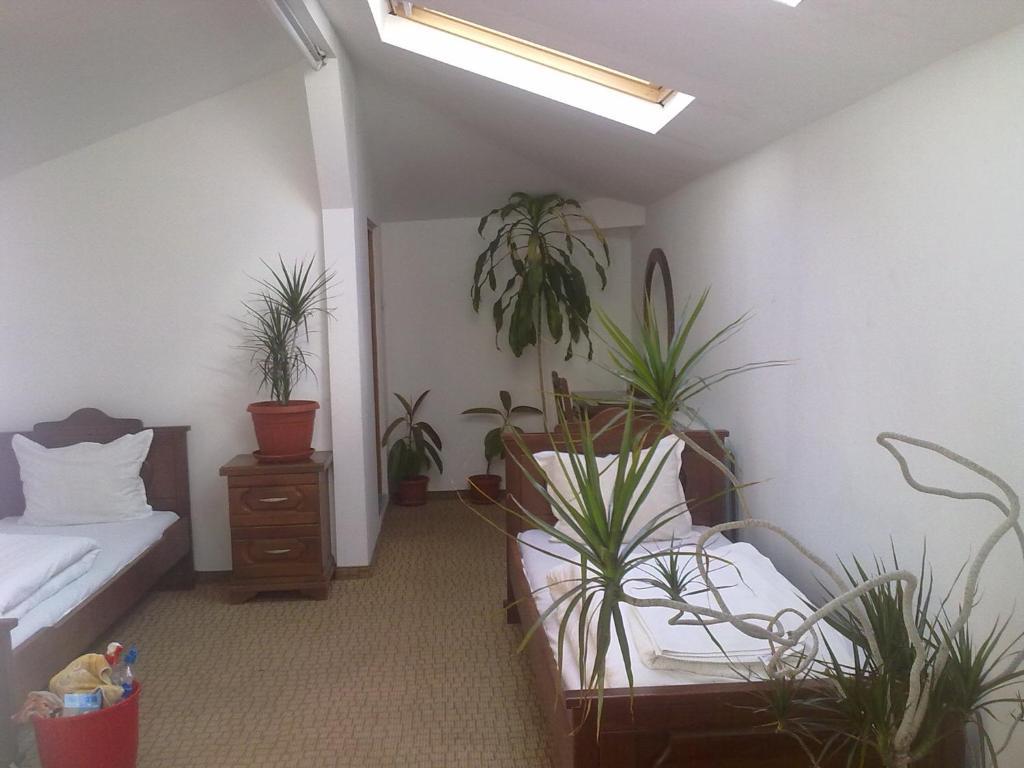 Guest House Todorini Kashti Koprivștița Cameră foto