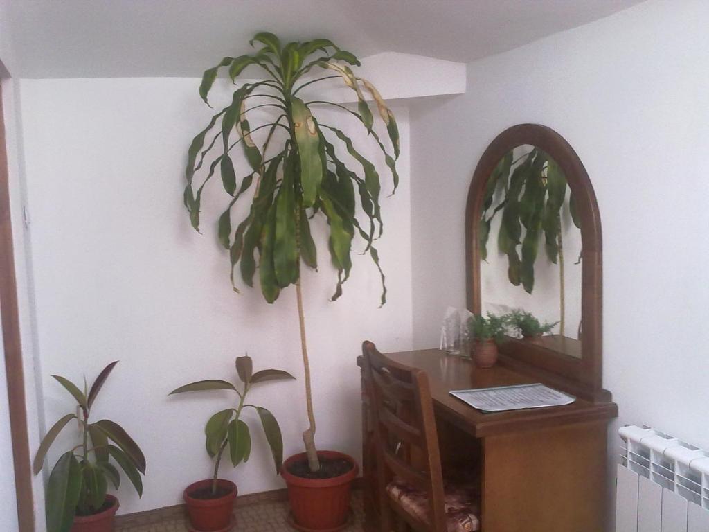 Guest House Todorini Kashti Koprivștița Cameră foto